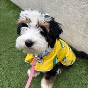 Little Beasts snoopy/ Woodstock double sided raincoat:
